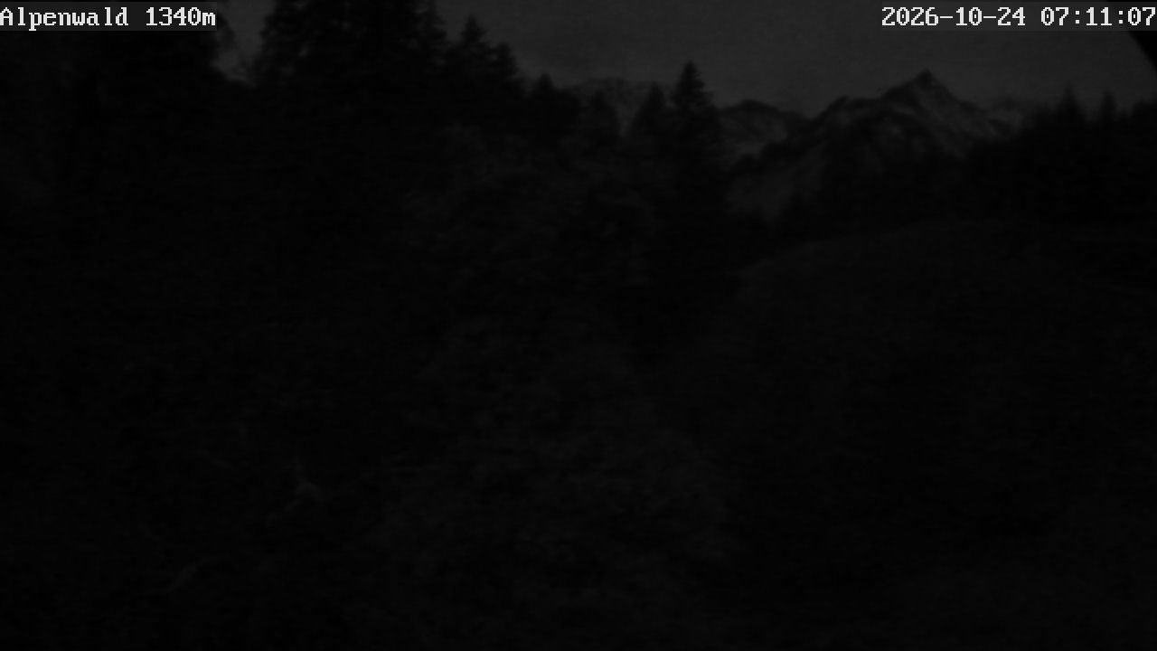 Bild: Gasthof Alpenwald
